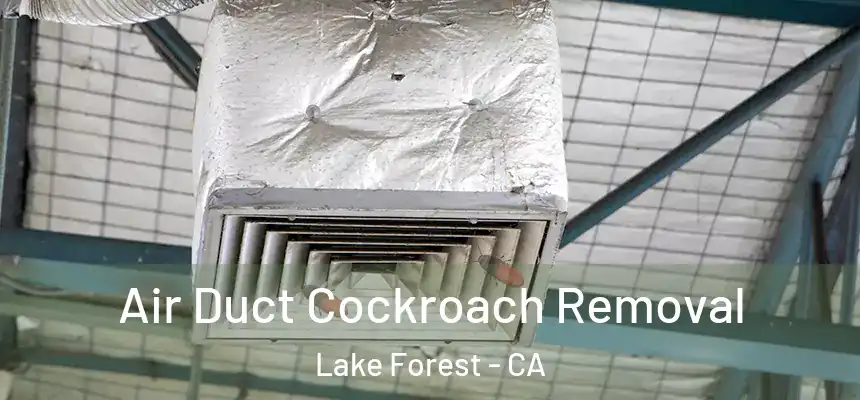 Air Duct Cockroach Removal Lake Forest - CA