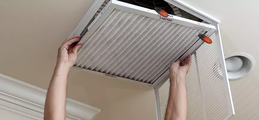 Our Insect Removal from Air Ducts Services in Lake Forest, CA