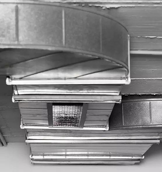 Professional Air Duct Pest Removal in Lake Forest, CA