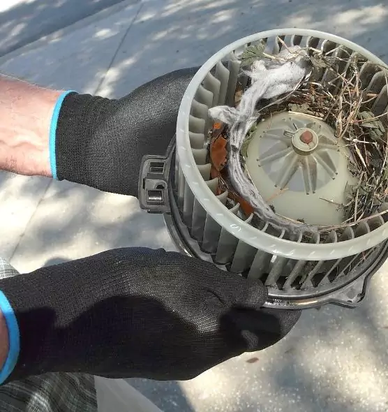 About Air Duct Rat Removal in Lake Forest, CA