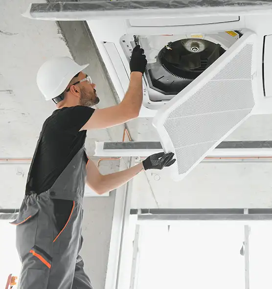 About Air Duct Rodent Removal in Lake Forest, CA