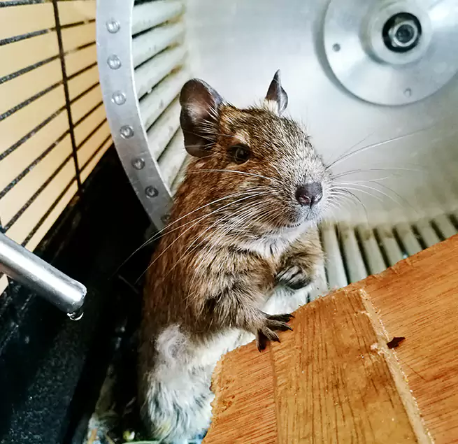 Why Homeowners & Businesses Trust Us Lake Forest, CA?