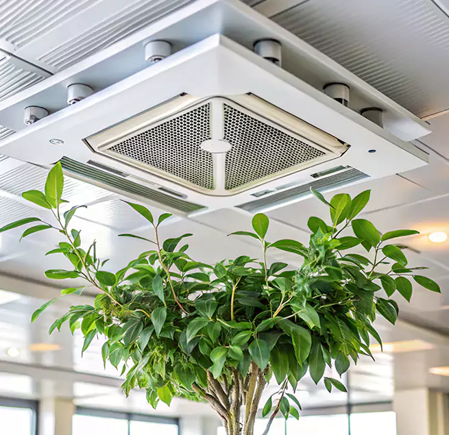 Why Homeowners & Businesses Trust Us in Lake Forest, CA