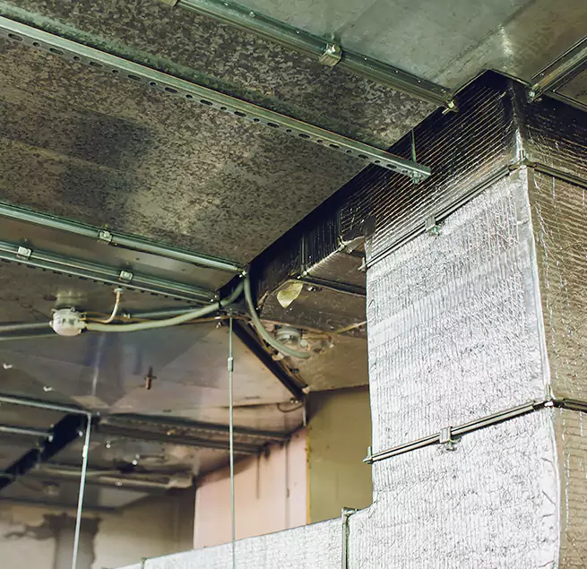 Why Homeowners & Businesses Trust Us in Lake Forest, CA?